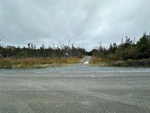 65A Connors Cove Road, Brigus Junction, NL 