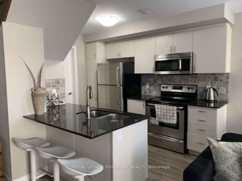 36 Daylily Lane, Kitchener, ON - Indoor Photo Showing Kitchen With Double Sink With Upgraded Kitchen