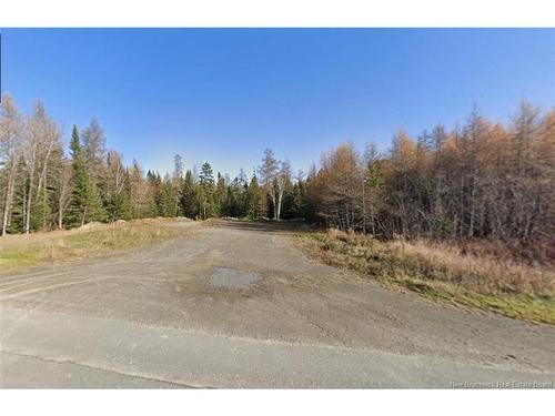 Lot Des Ormes St, Baker Brook, NB 
