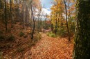 Accès au plan d'eau - 3E Avenue St-Vincent, Sainte-Béatrix, QC 