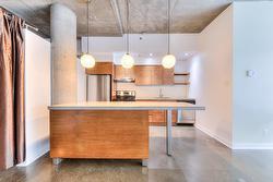 117-55 Rue Molière  Montréal (Villeray/Saint-Michel/Parc-Extension), QC H2R 1N7