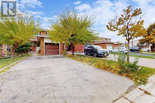 8 STEPHENSEN COURT  Brampton, ON L6V 3X8