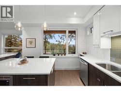 views from kitchen window - 