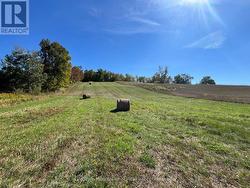 213 VANSICKLE ROAD  Havelock-Belmont-Methuen (Belmont-Methuen), ON K0L 1Z0