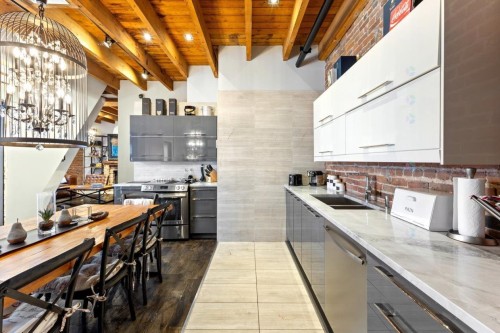 Cuisine - 203-436 Rue Ste-Hélène, Montréal (Ville-Marie), QC - Indoor Photo Showing Kitchen With Double Sink