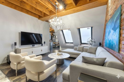 Salon - 203-436 Rue Ste-Hélène, Montréal (Ville-Marie), QC - Indoor Photo Showing Living Room