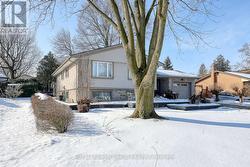 Professional landscaping and hardscaping. - 