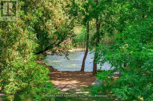 368 Main Street, King, ON - Outdoor