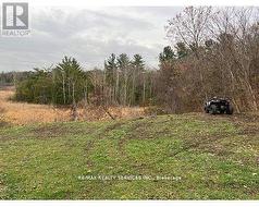 6385 YONGE STREET  Innisfil, ON L0L 1K0