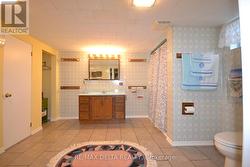 large lower level bathroom - 