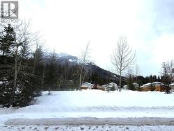 31 Deerborne Drive  Elkford, BC V0B 1H0