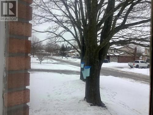 28 Dixon Crescent, Welland (N. Welland), ON - Outdoor