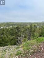 41-43 Easons Road  Conception Bay South, NL A1W 3B9