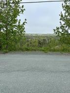 41-43 Easons Road  Conception Bay South, NL A1W 3B9