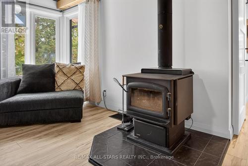 194 Snug Harbour Road, Kawartha Lakes (Fenelon), ON - Indoor Photo Showing Living Room With Fireplace