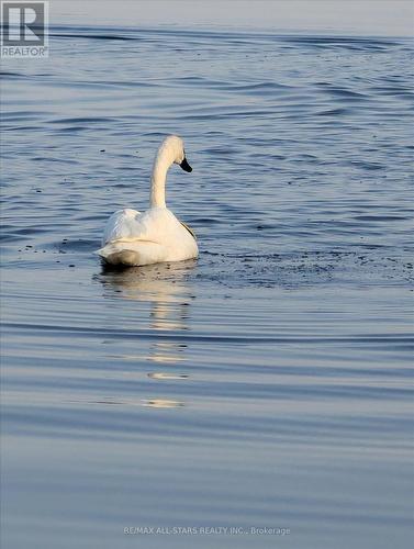 194 Snug Harbour Road, Kawartha Lakes (Fenelon), ON - Outdoor With View