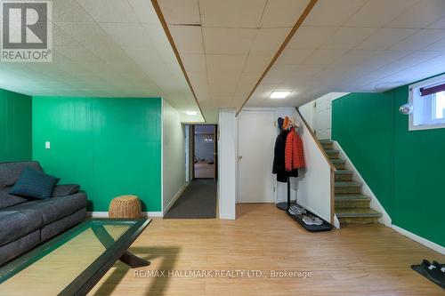 12 Trinnell Boulevard, Toronto, ON - Indoor Photo Showing Other Room