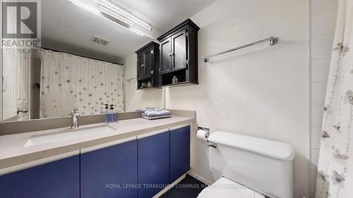 208 - 1155 Bough Beeches Boulevard, Mississauga, ON - Indoor Photo Showing Bathroom