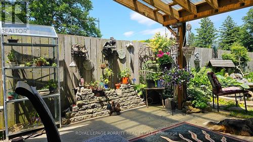 summer garden - 1435 Strathy Avenue, Mississauga, ON - Outdoor