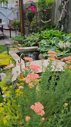 summer garden - 1435 Strathy Avenue, Mississauga, ON - Outdoor