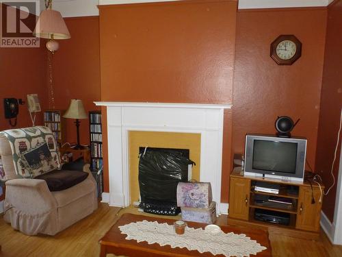 15 Loop Road, Terra Nova, NL - Indoor Photo Showing Living Room With Fireplace