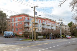 PH 10-1371 Hillside Ave  Victoria, BC V8T 2B3