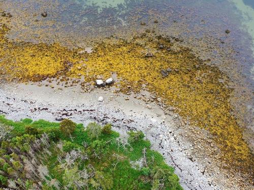 Shore Road, North East Harbour, NS 