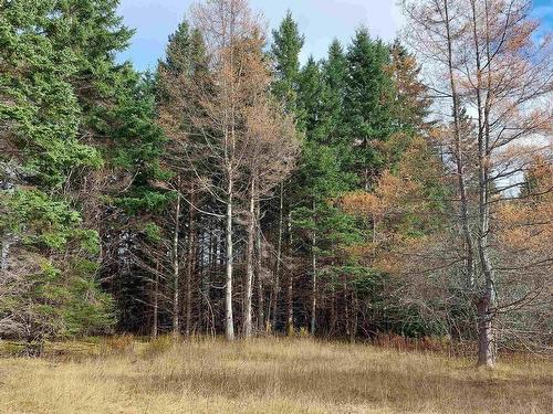 1629 West Side Middle River Rd., Middle River, NS 