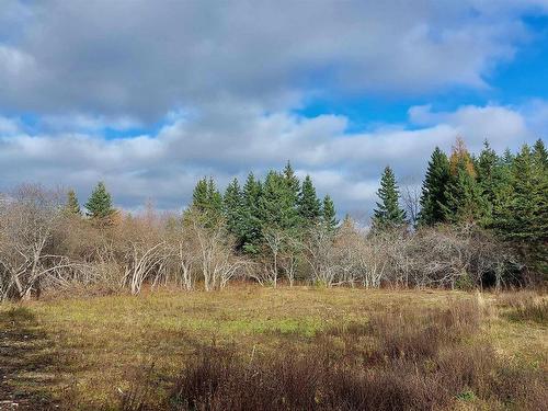 1629 West Side Middle River Rd., Middle River, NS 