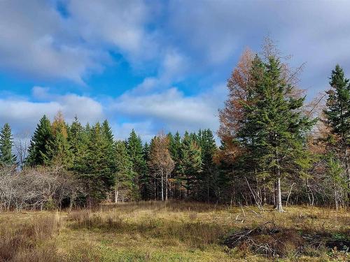 1629 West Side Middle River Rd., Middle River, NS 