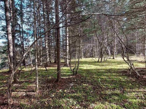 1629 West Side Middle River Rd., Middle River, NS 