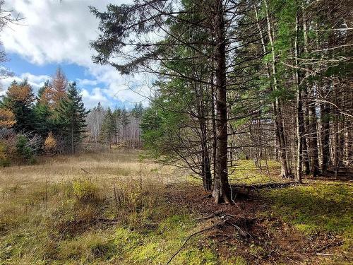 1629 West Side Middle River Rd., Middle River, NS 