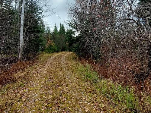 1629 West Side Middle River Rd., Middle River, NS 