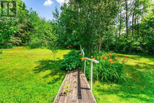 5 Pineview Court, New Tecumseth, ON - Outdoor