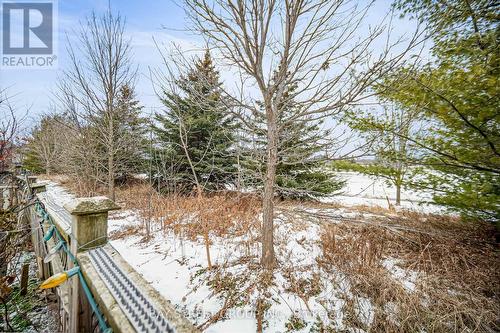 53 Brando Avenue, Markham, ON - Outdoor