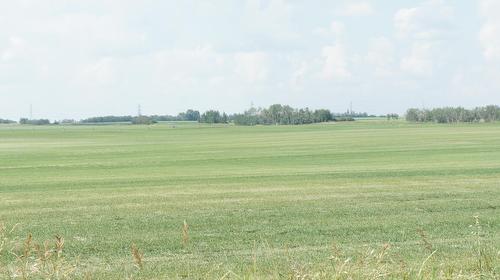 R.Rd 222, Sturgeon County, AB 