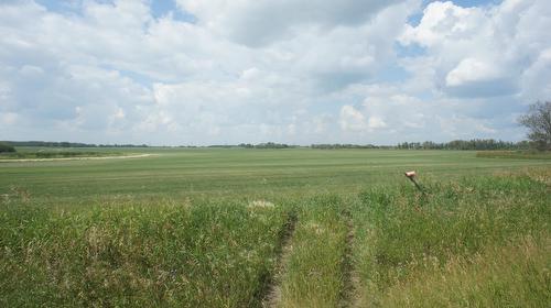 R.Rd 222, Sturgeon County, AB 