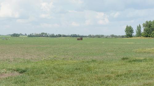 R.Rd 222, Sturgeon County, AB 