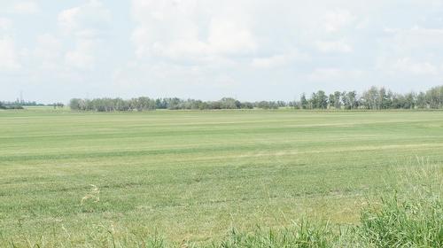 R.Rd 222, Sturgeon County, AB 