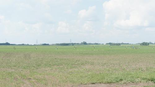 R.Rd 222, Sturgeon County, AB 