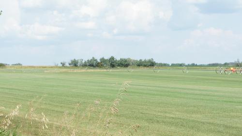 R.Rd 222, Sturgeon County, AB 