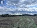 465 Mallard Lake Drive, Bancroft, ON 