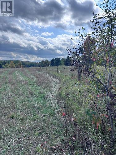 465 Mallard Lake Drive, Bancroft, ON 