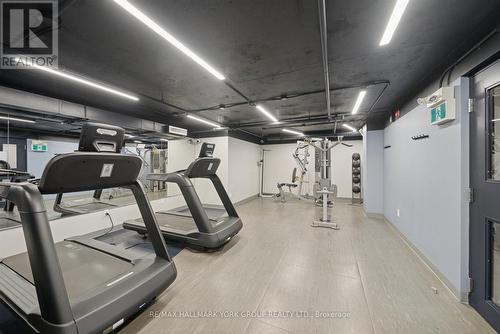 103 - 715 Don Mills Road, Toronto, ON - Indoor Photo Showing Gym Room