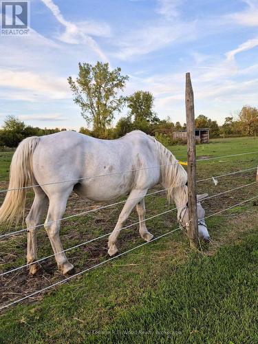 1319 Windham Centre Road 9 Road, Norfolk, ON 