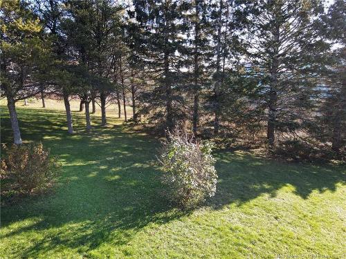 36 Kelly, Moncton, NB 