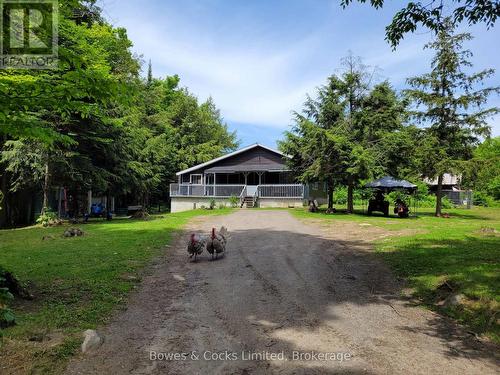 246 HICKEY TRAIL  Hastings Highlands (Herschel Ward), ON K0L 1C0