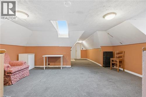 Bonus room featuring light colored carpet, radiator, and a skylight - 30 Regina Street N, Waterloo, ON - Indoor Photo Showing Other Room