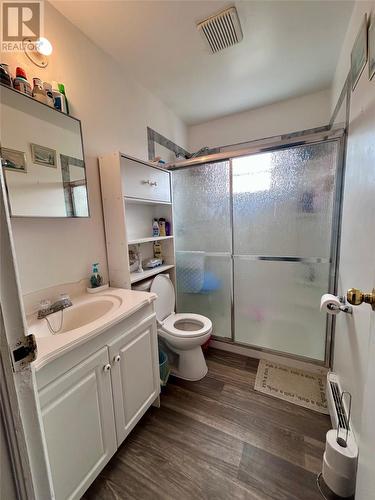 53 Point Verde Road, Placentia, NL - Indoor Photo Showing Bathroom