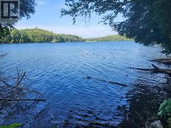 368 SIMMONS LAKE ROAD Magnetawan, ON P0A 1P0